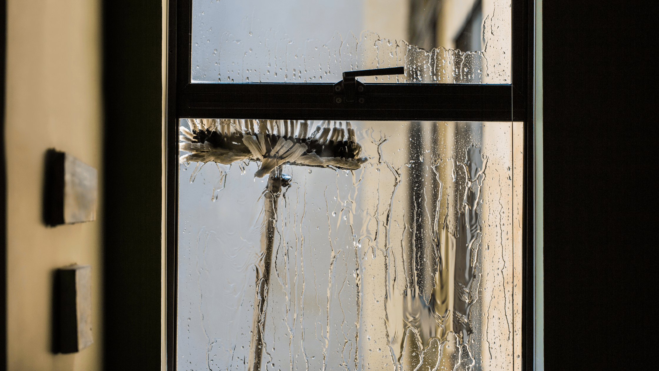 Exterior Window Cleaning Services