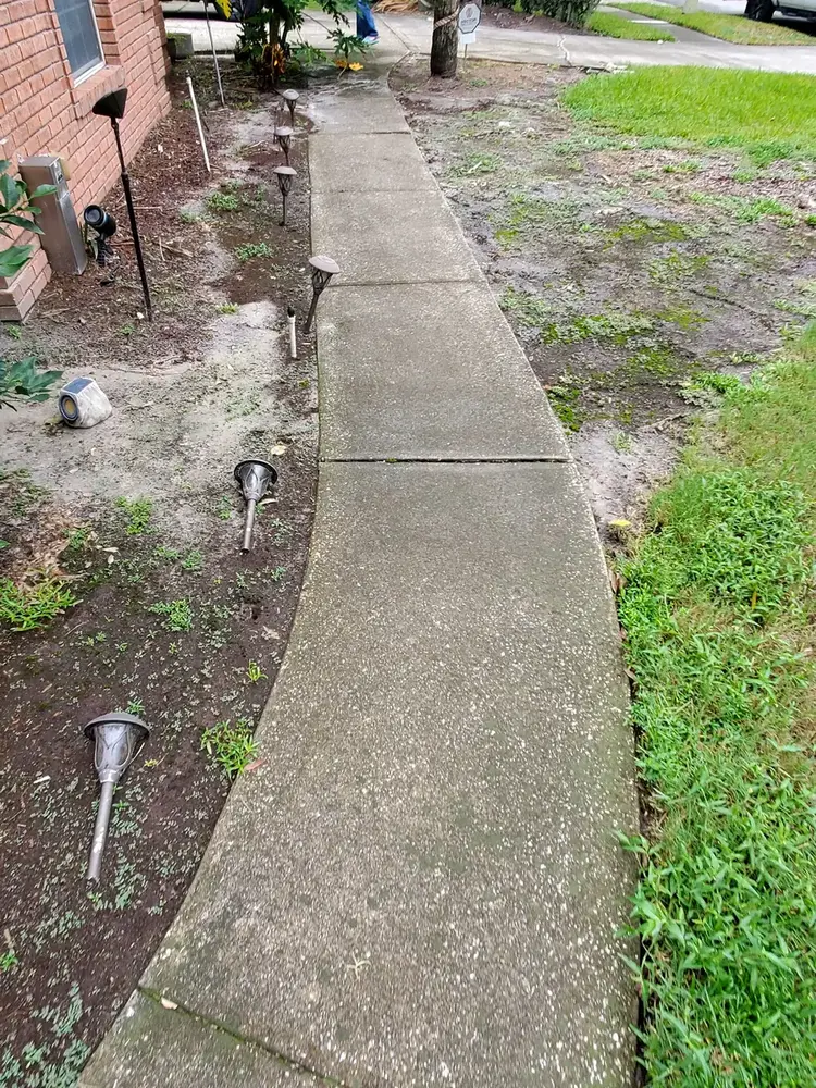 Concrete walkway before cleaning by Gravity Wave